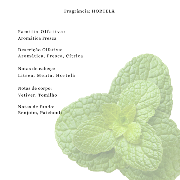 Essência Concentrada Hortelã Vollmens Para Aromatizador - Velas - Sabonetes - Perfumes