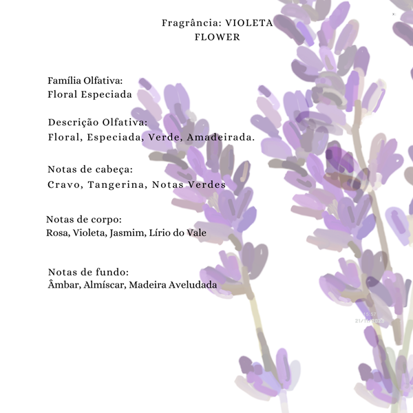 Essência Concentrada Violeta Vollmens Para Aromatizador - Velas - Sabonetes - Perfumes