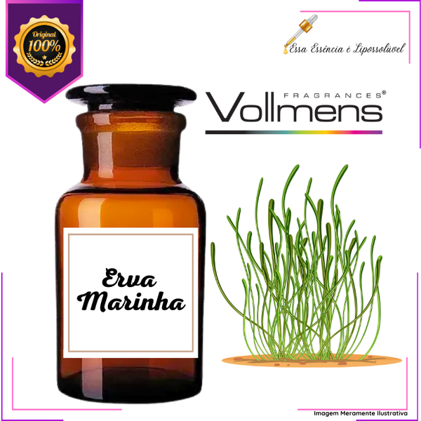 Essência Concentrada Erva Marinha Vollmens Para Aromatizador - Velas - Sabonetes - Perfumes