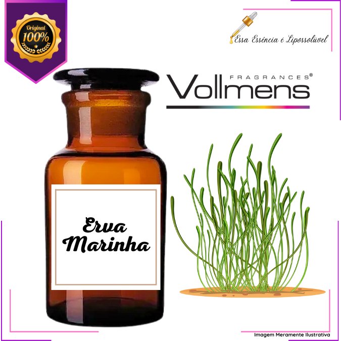 Essência Concentrada Erva Marinha Vollmens Para Aromatizador - Velas - Sabonetes - Perfumes