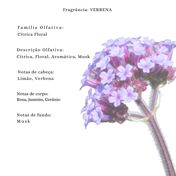 Essência Concentrada Verbena Vollmens Para Aromatizador - Velas - Sabonetes - Perfumes 500g