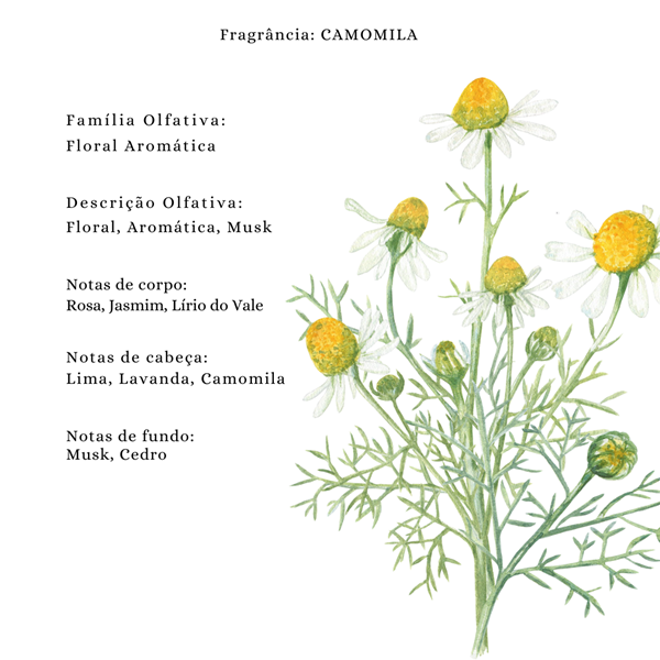 Essência Concentrada Camomila Vollmens Para Aromatizador - Velas - Sabonetes - Perfumes