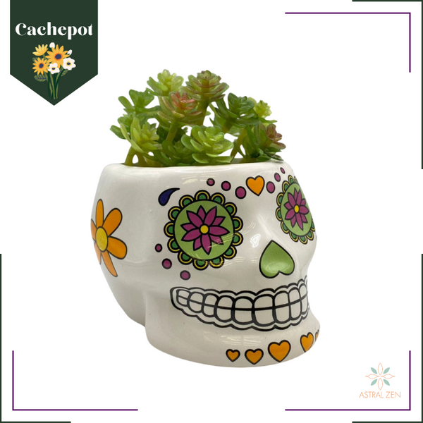 Cachepot Caveira Mexicana