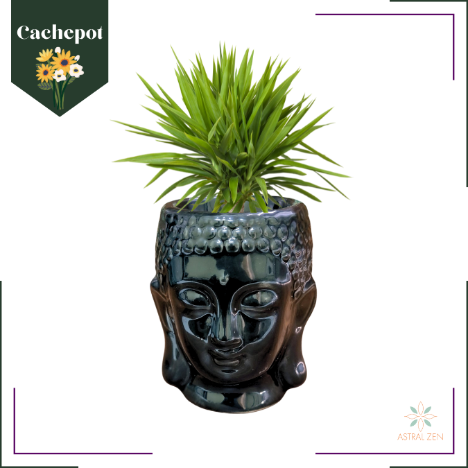 Cachepot para Suculentas Cabeça de Buda Preto