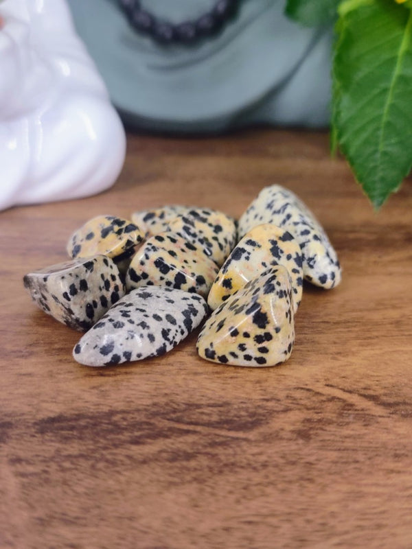 Pedra Jaspe Dalmata Pequena Rolada - Kit 150g