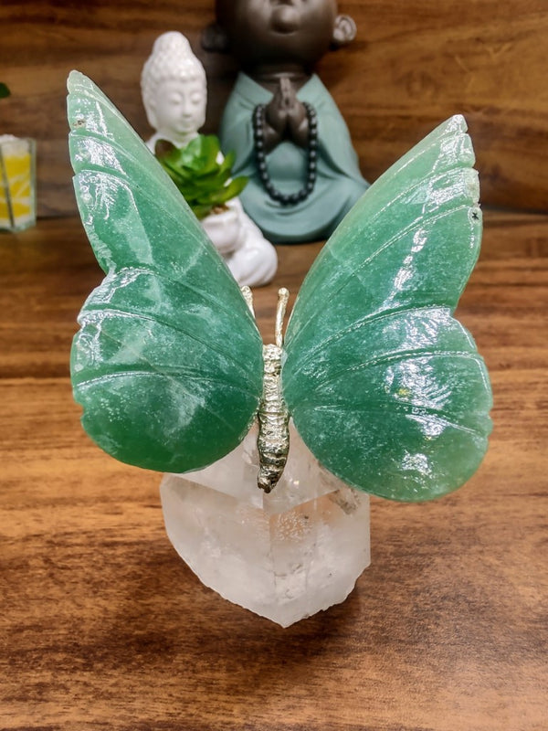 Borboleta De Jade