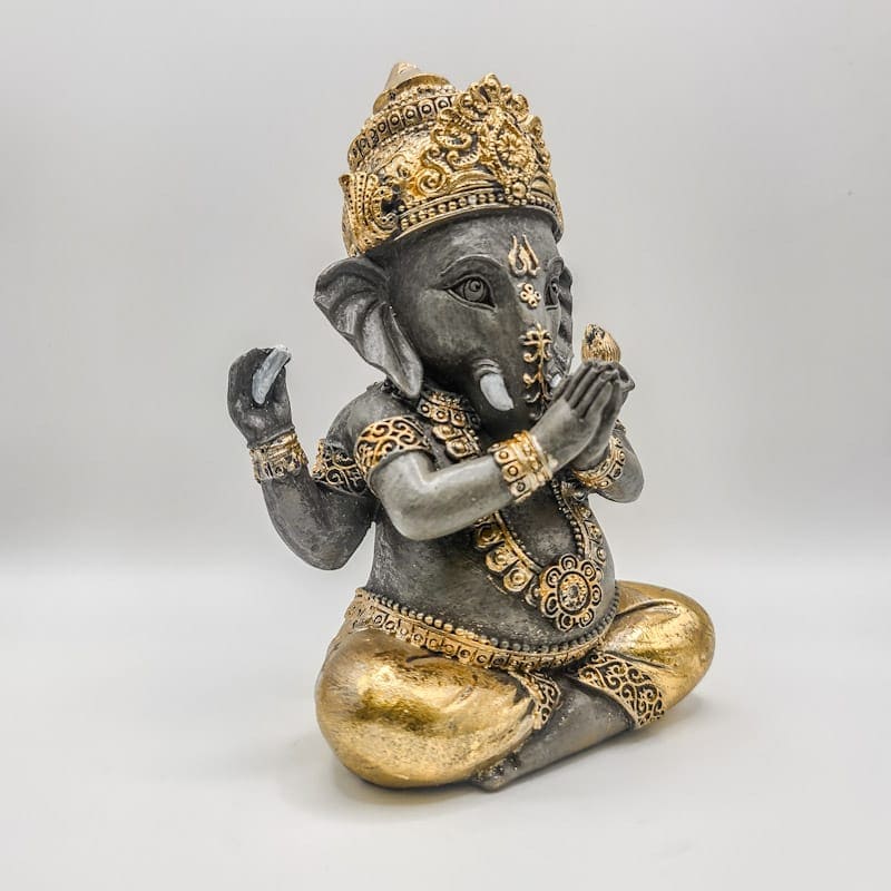 Ganesha Yoga Prosperidade