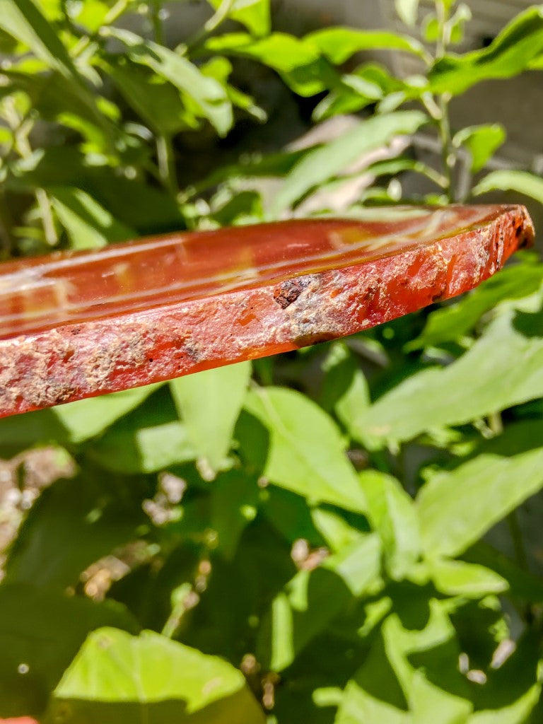 Chapa Ágata De Fogo