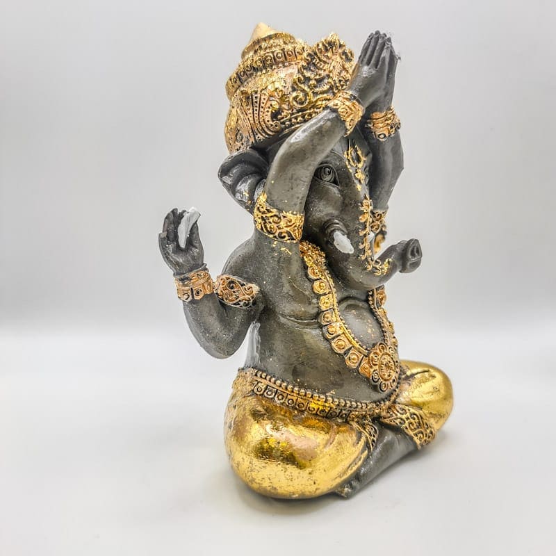 Ganesha Yoga Prosperidade