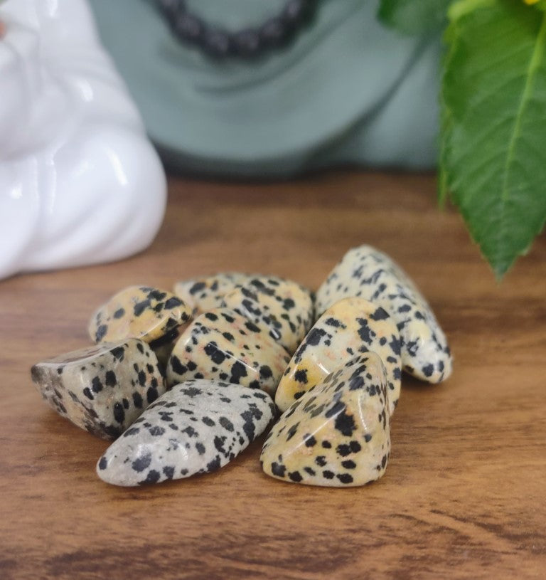 Pedra Jaspe Dalmata Pequena Rolada - Kit 150g